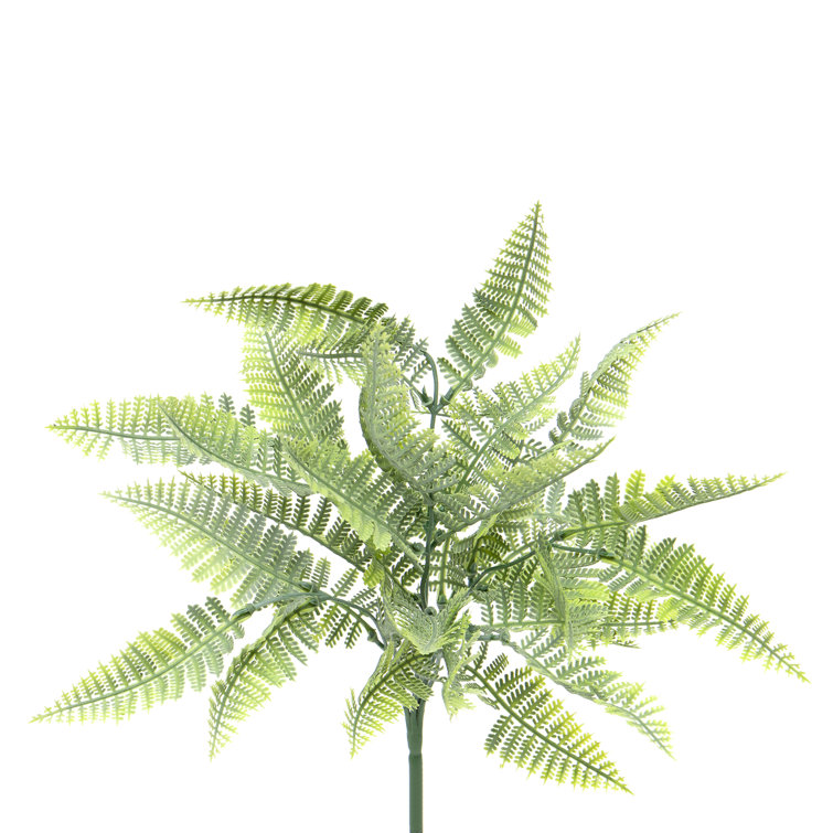 Primrue Faux Fern Plant Wayfair Canada